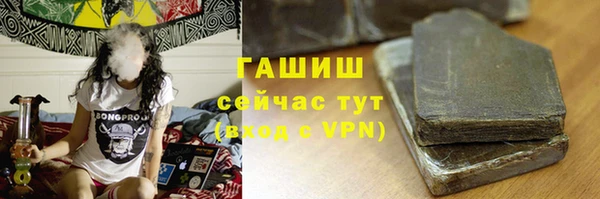 СК Алексин