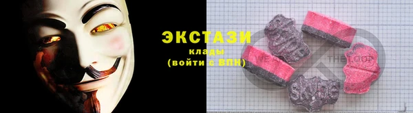 СК Алексин