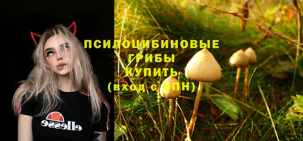 СК Алексин