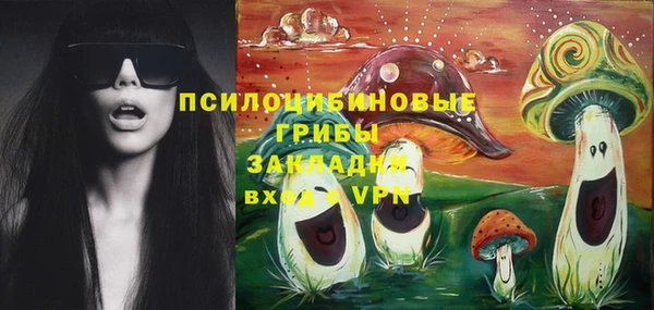 гидра Алексеевка