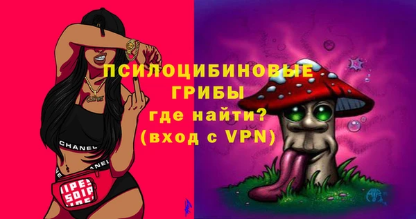 дмт Алзамай