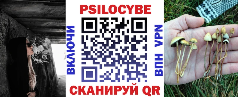 Галлюциногенные грибы Psilocybine cubensis  Щигры 